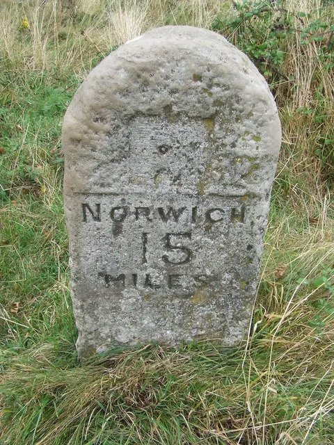 New Buckenham Common, the local landmark of NR16