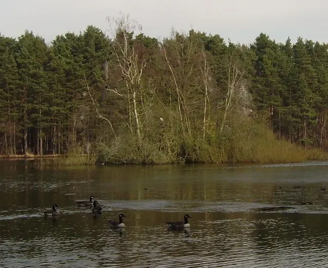 Heath Lake, the local landmark of RG45