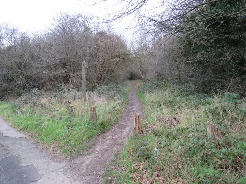 Banstead Downs, the local landmark of SM2