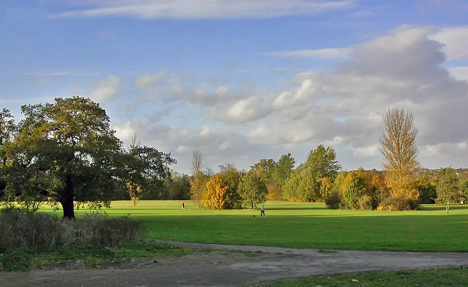 Cannon Hill Common, the local landmark of SW20